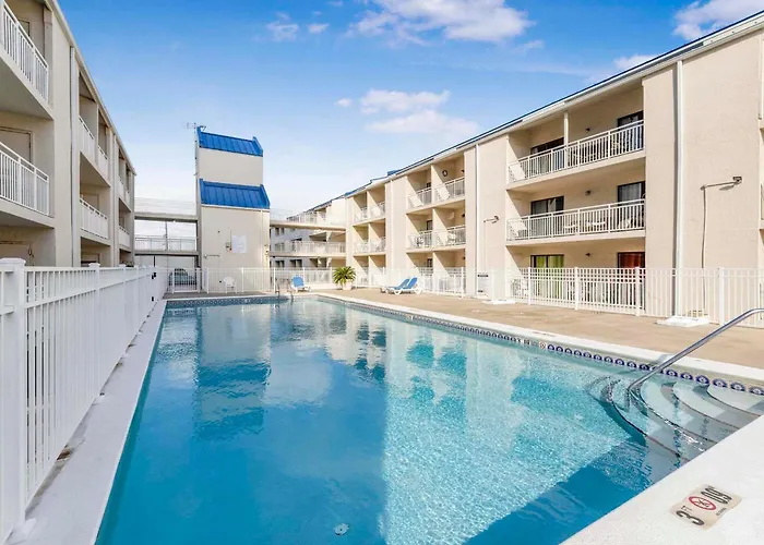 Apartment Sugar 140 By Collection